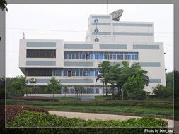 清華IT學習認證中心簡介